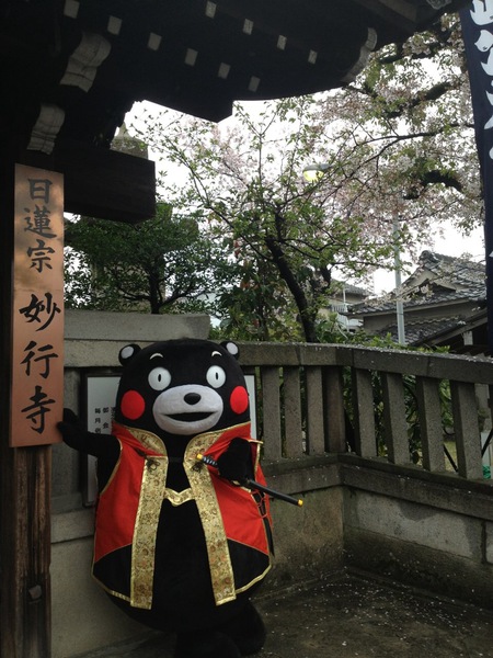 太閤花見茶会 (39).JPG
